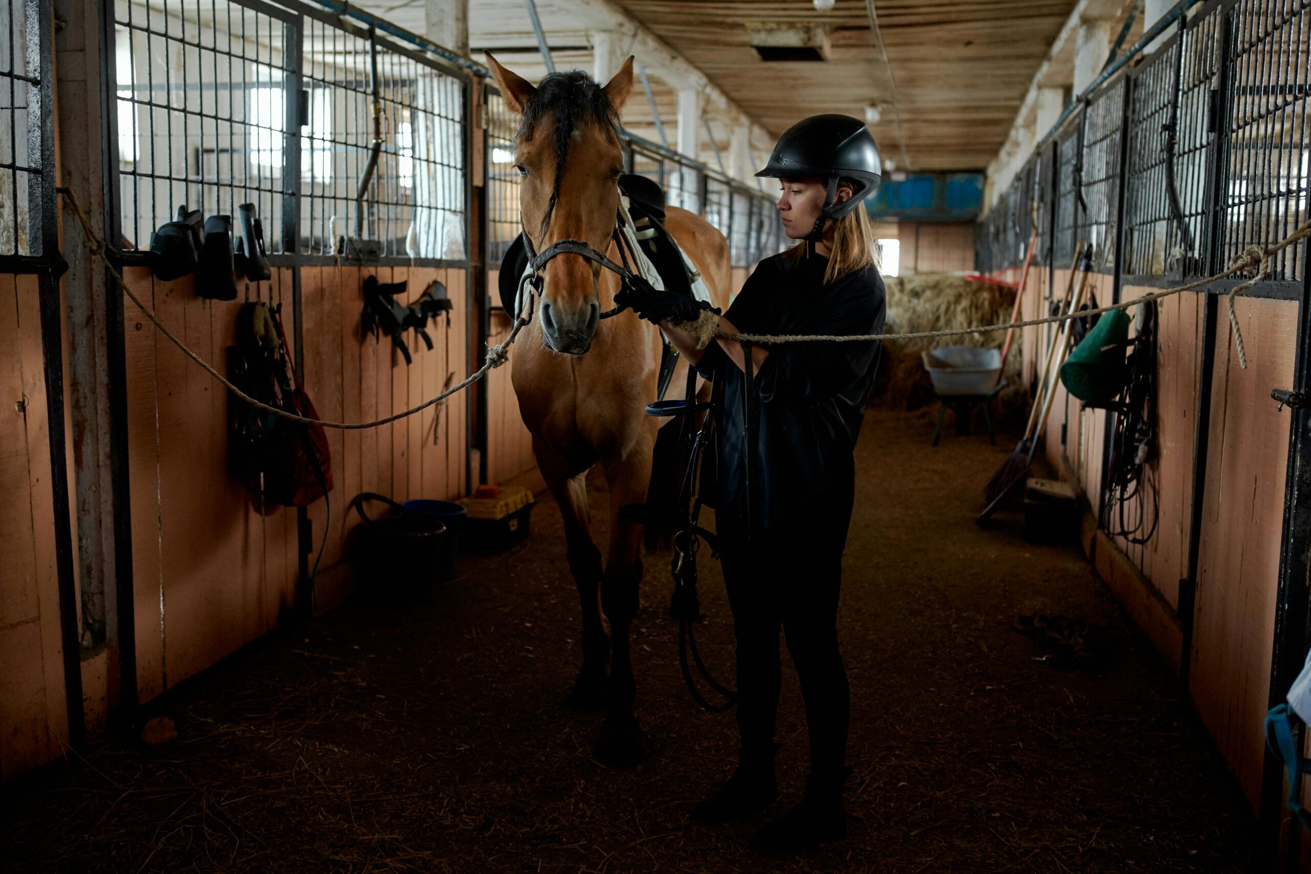 A woman in riding gear prepares a horse in an indoor stable setting,