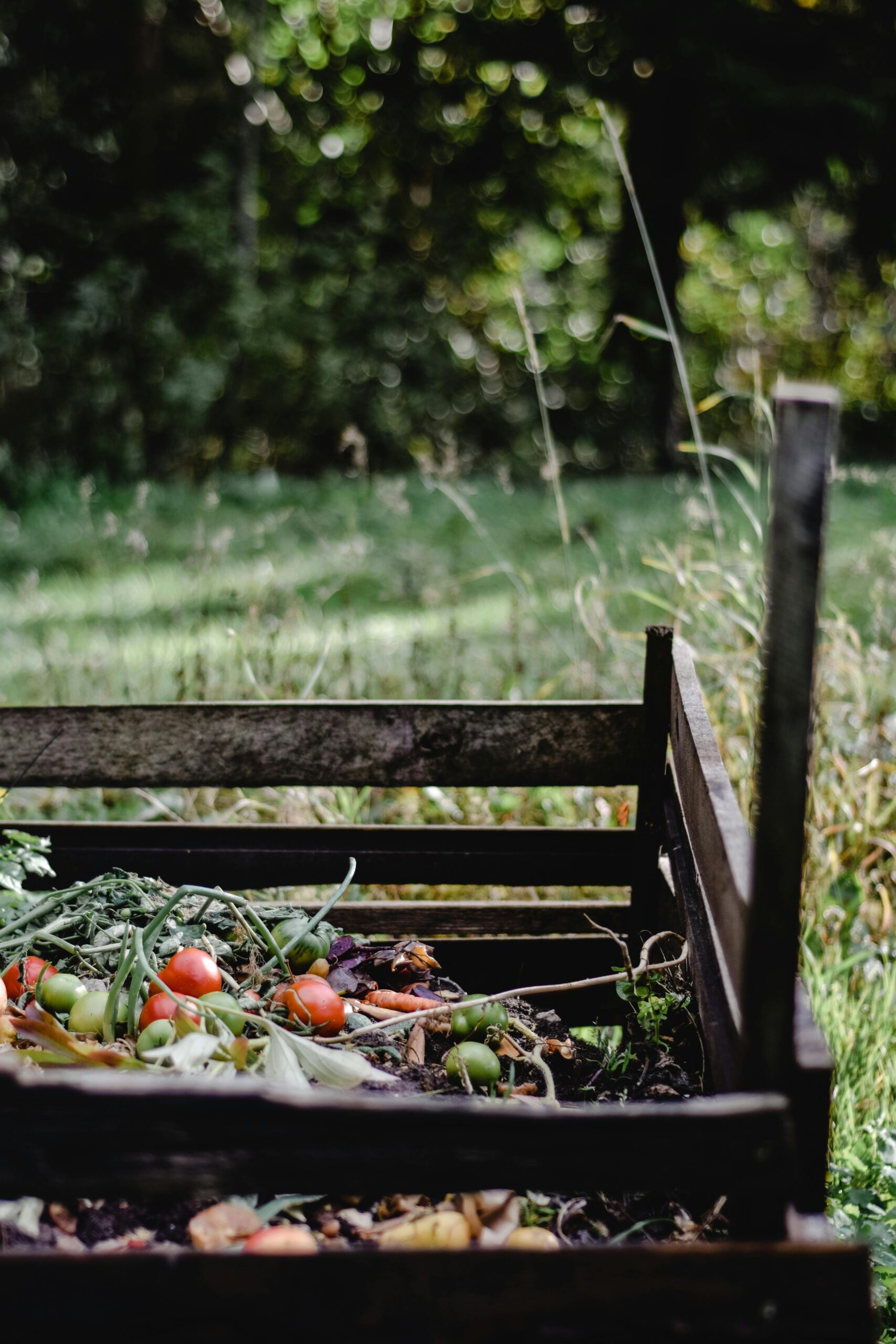 Wooden compost bin in a garden with waste and vegetables.