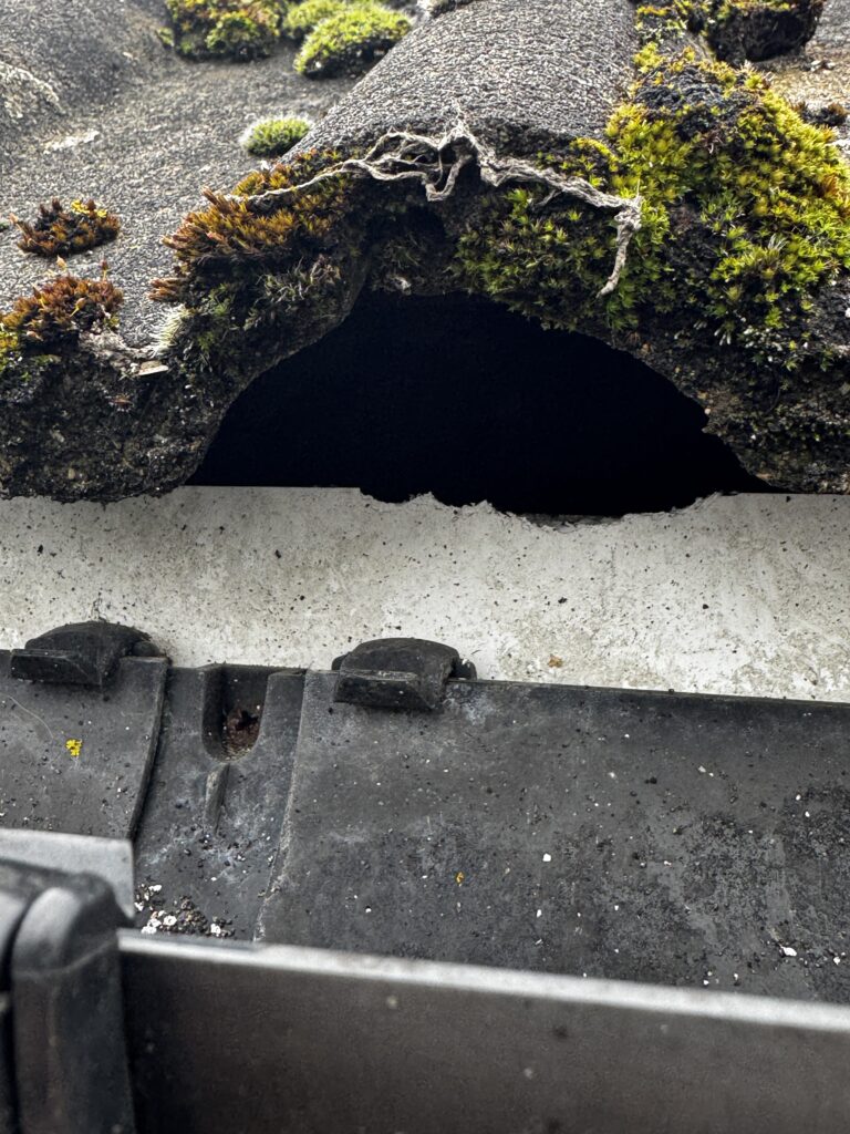 hole under a tile