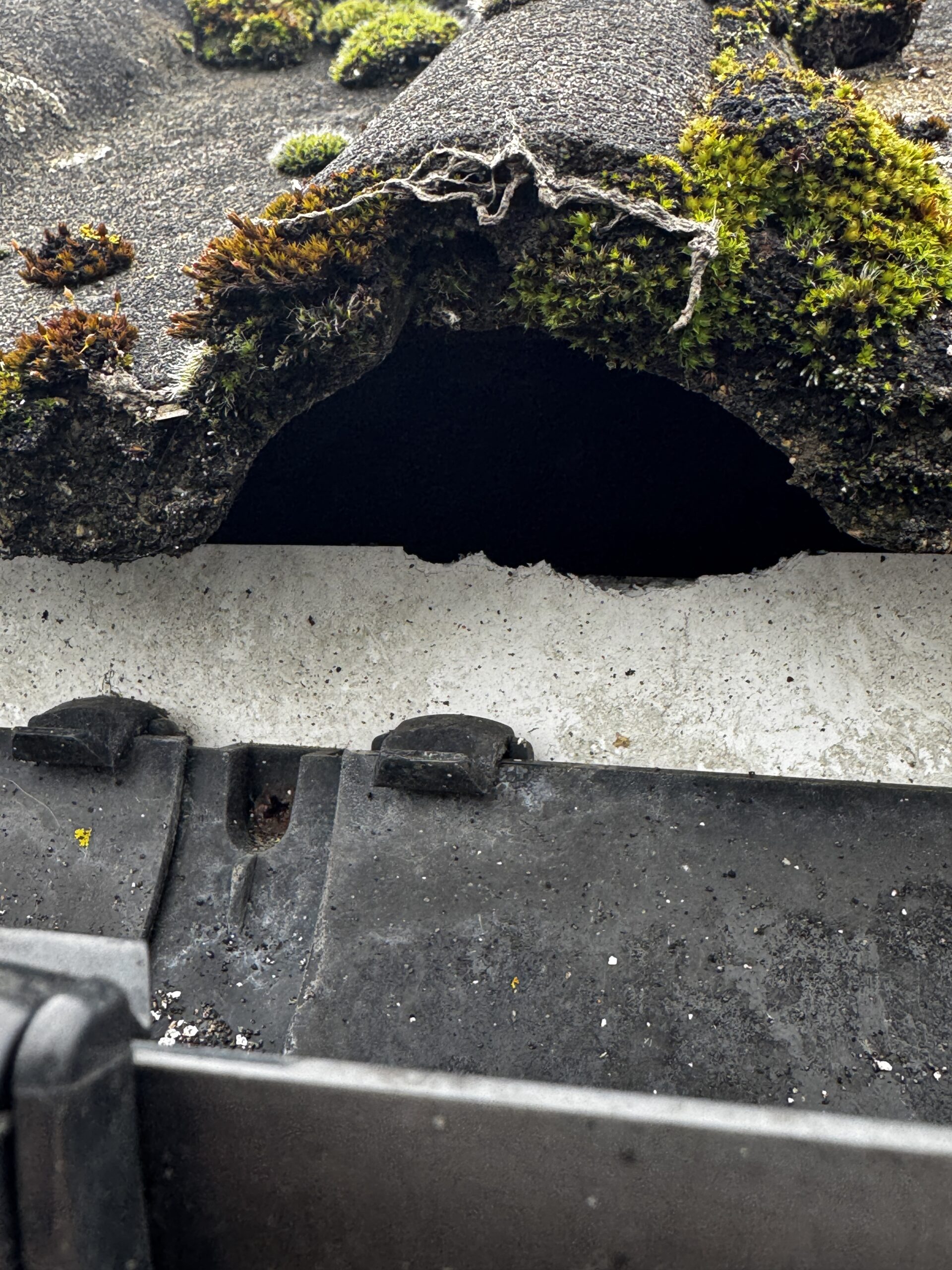 Hole under a tile