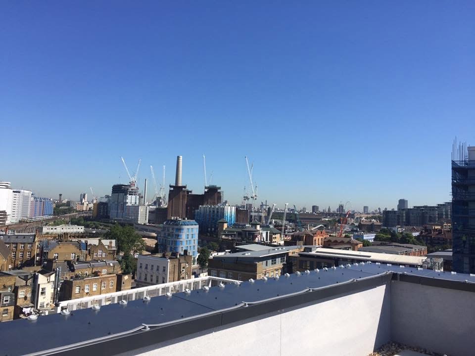 bird proofing on top of a building