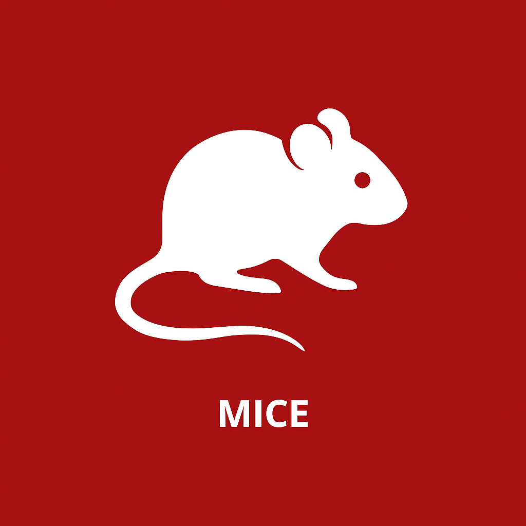 Mice