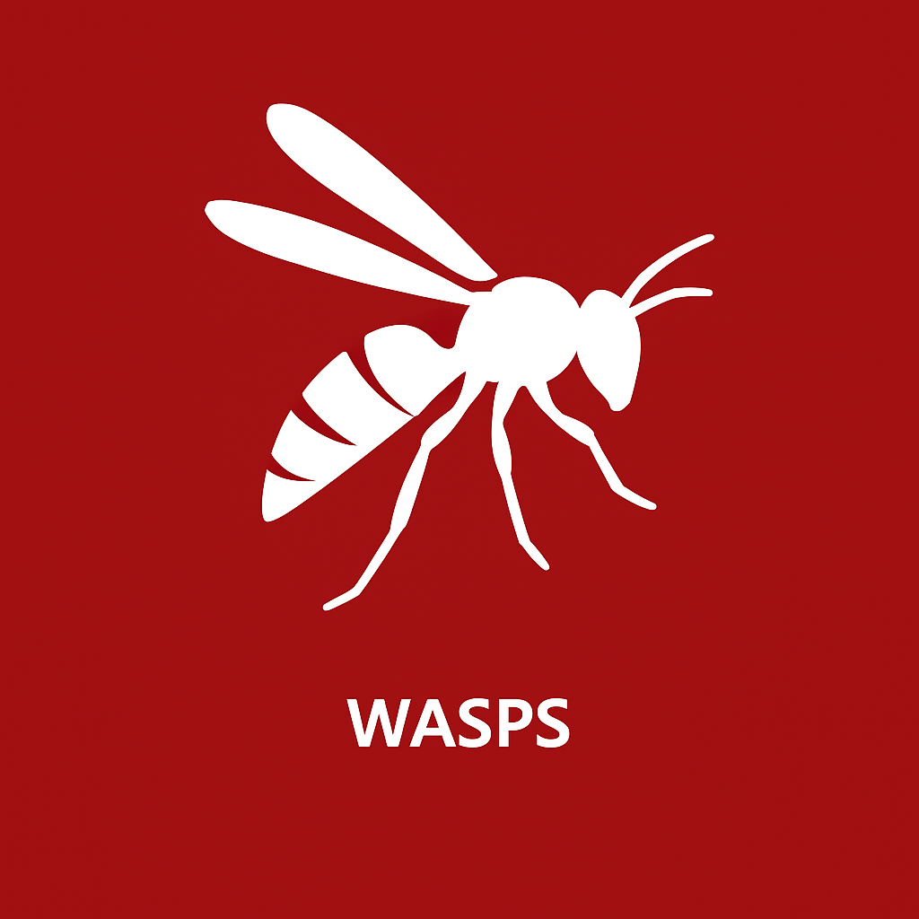 Wasps