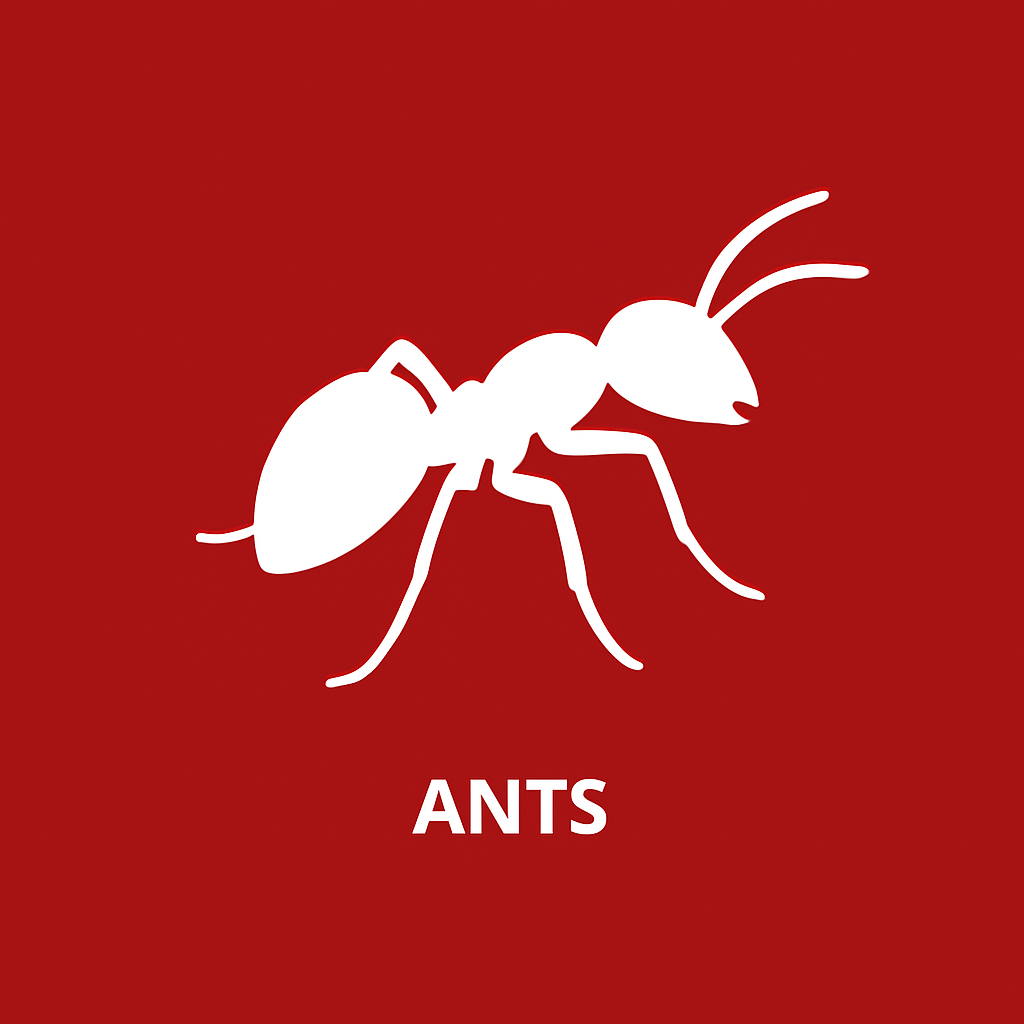 Ants