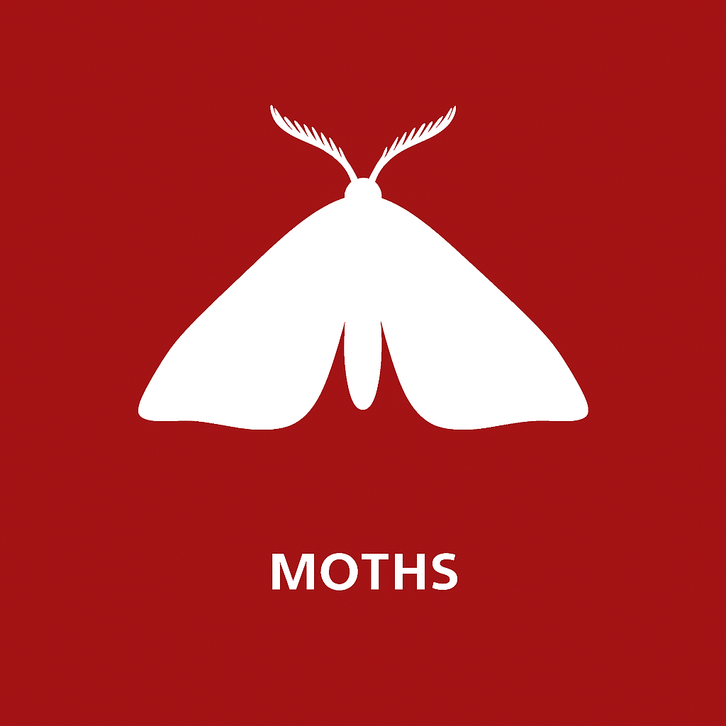 Moths